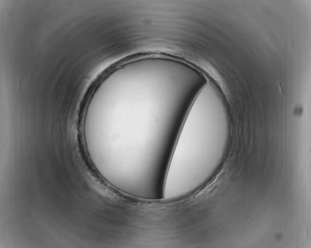 X0000102351020200808010931
