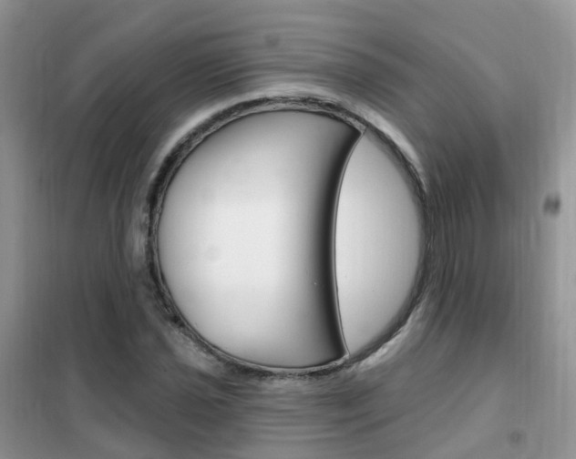 X0000102351021200808010931