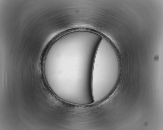 X0000102351022200808010931