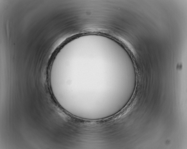 X0000102351023200808010931