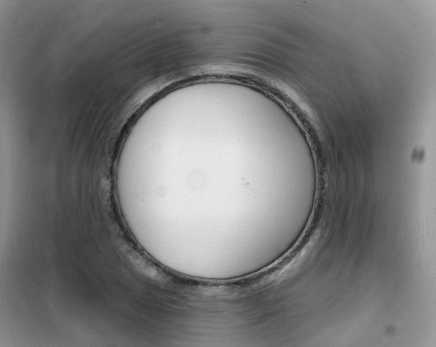 X0000102351025200808010931