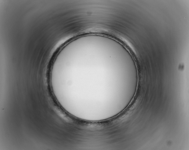 X0000102351026200808010931