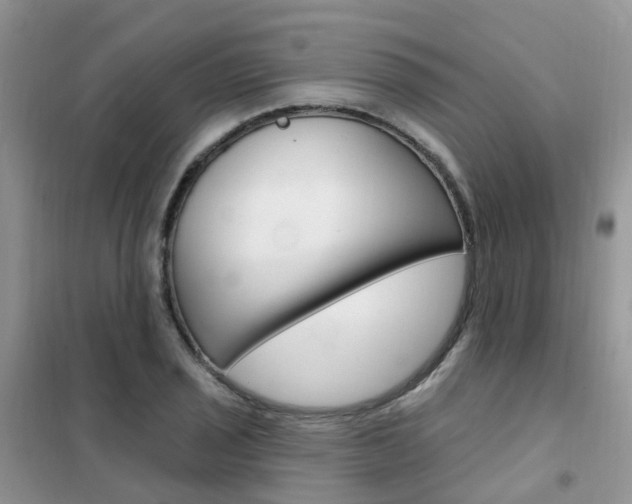 X0000102351029200808010931
