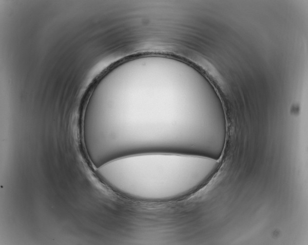 X0000102351030200808010931