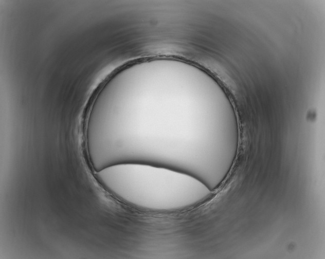 X0000102351031200808010931