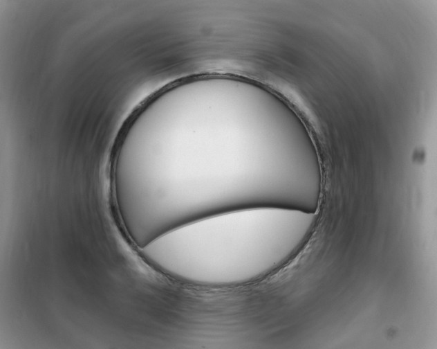 X0000102351032200808010931
