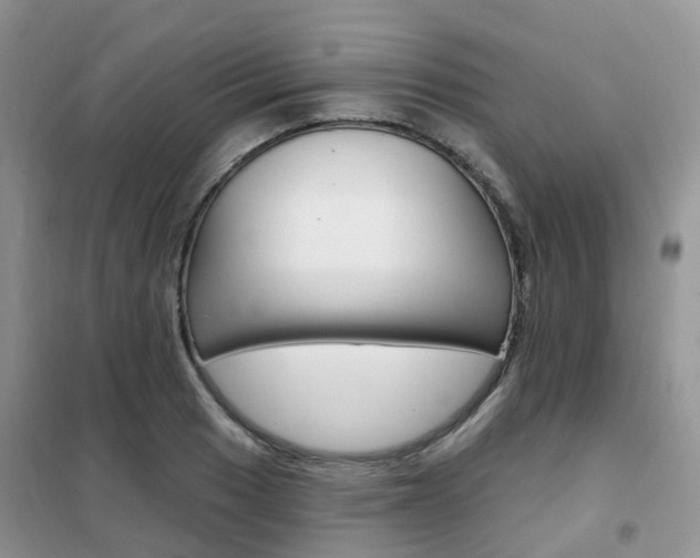 X0000102351033200808010931