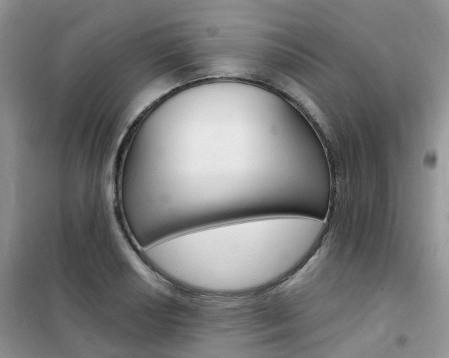 X0000102351034200808010931