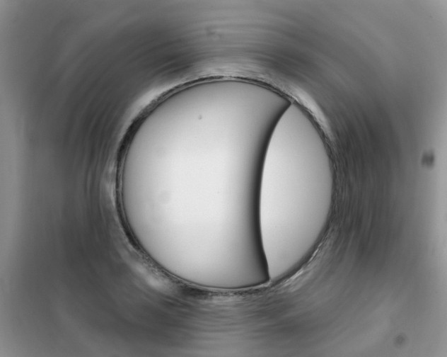 X0000102351035200808010931