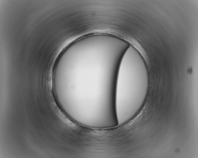 X0000102351036200808010931