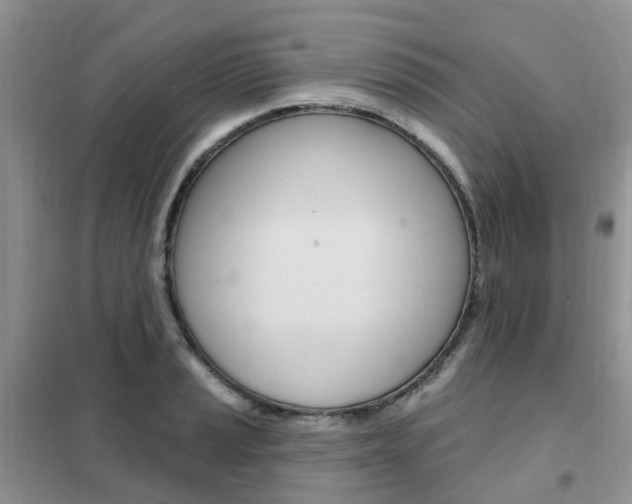 X0000102351037200808010931