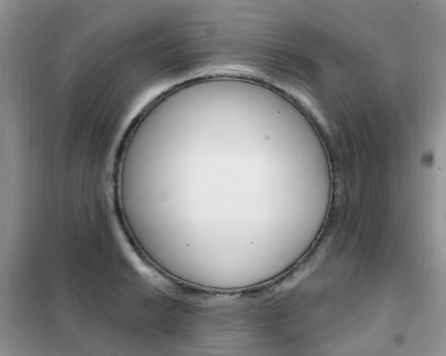 X0000102351038200808010931