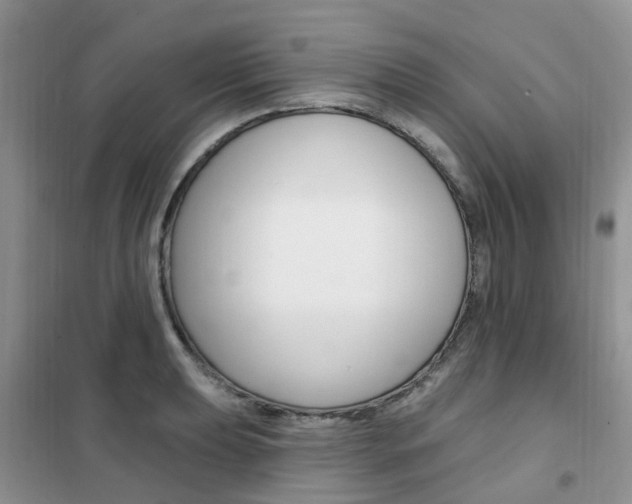 X0000102351039200808010931