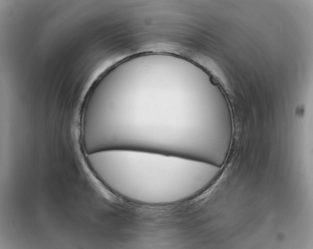X0000102351040200808010931