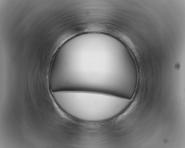 X0000102351041200808010931