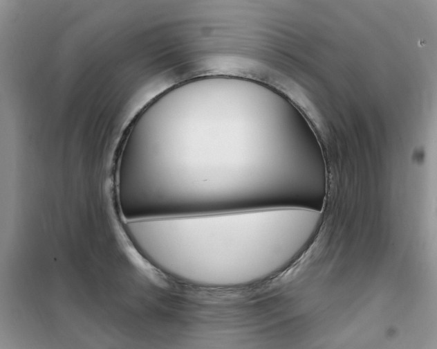 X0000102351042200808010931