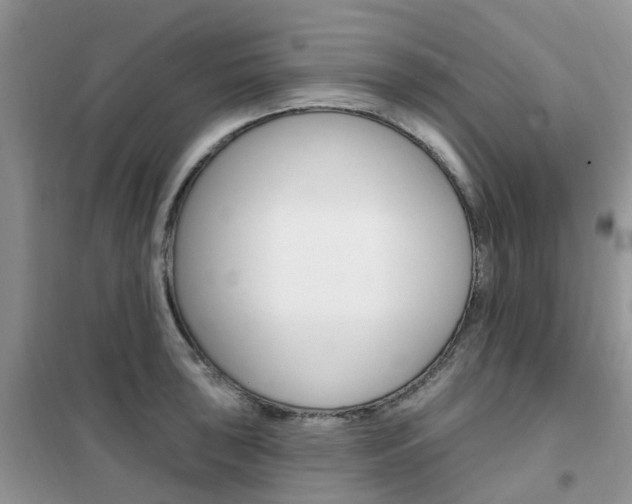 X0000102351043200808010931