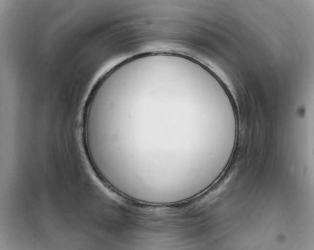 X0000102351045200808010931