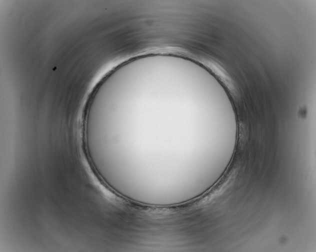X0000102351046200808010931