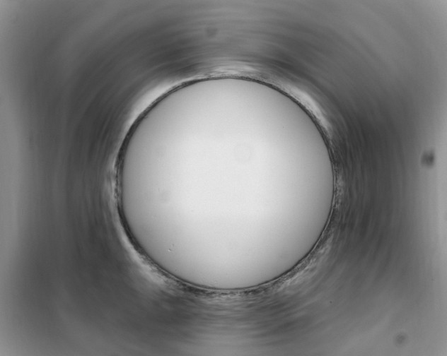 X0000102351047200808010931