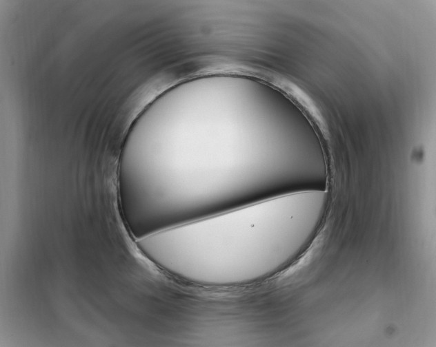 X0000102351049200808010931
