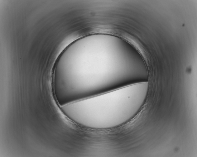 X0000102351050200808010931