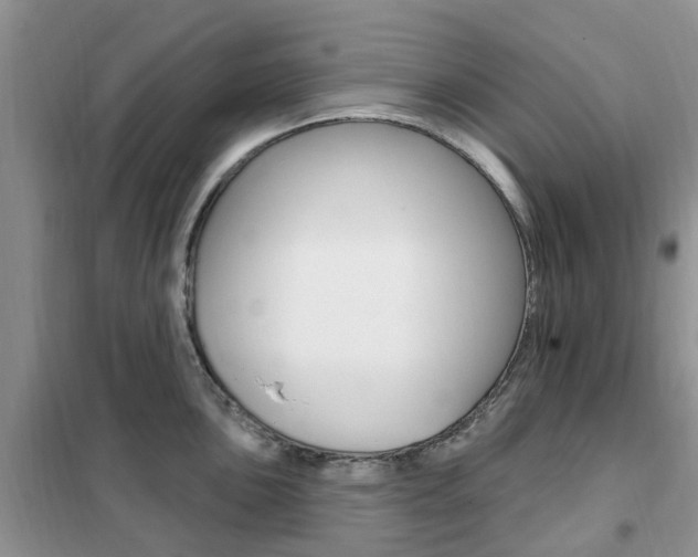 X0000102351051200808010931