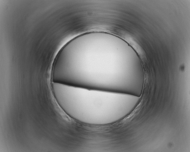 X0000102351052200808010931