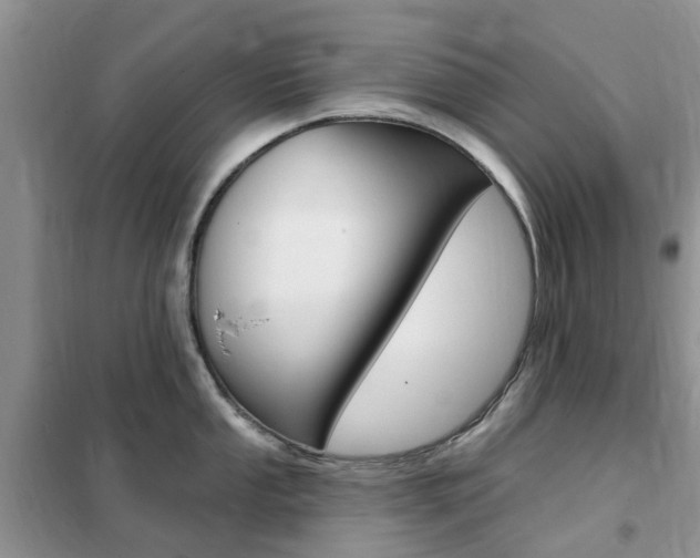 X0000102351053200808010931