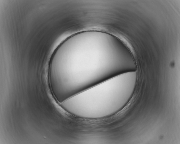X0000102351054200808010931