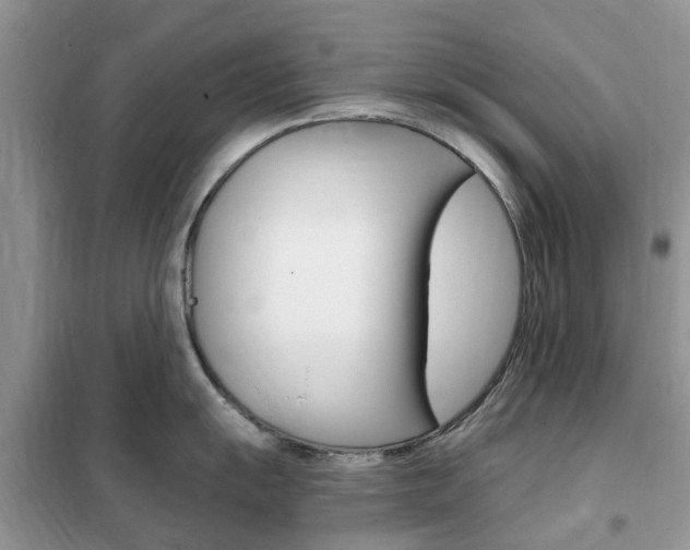 X0000102351055200808010931