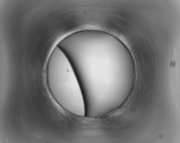 X0000102351056200808010931