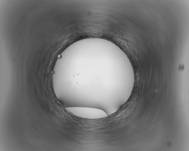 X0000102351057200808010931
