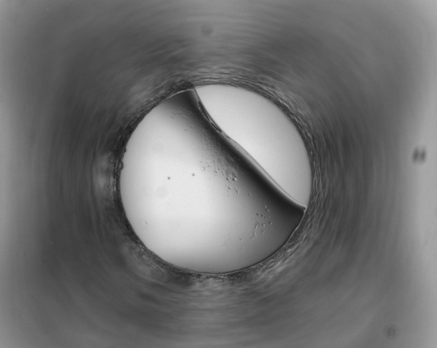 X0000102351058200808010930