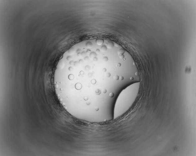 X0000102351059200808010930
