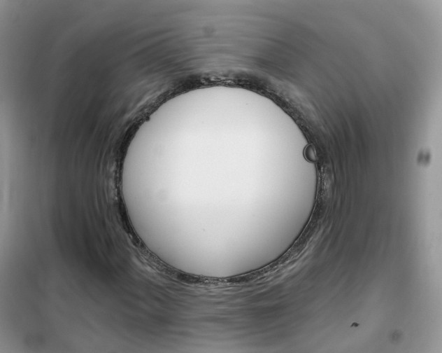 X0000102351060200808010930