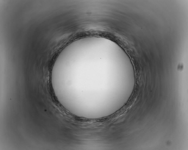 X0000102351061200808010930
