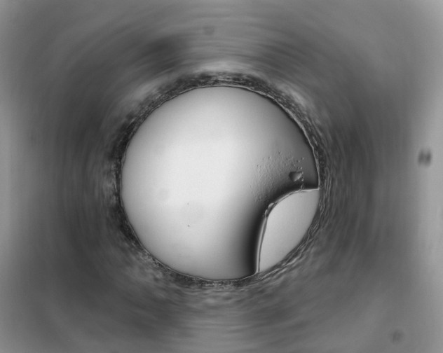 X0000102351062200808010930
