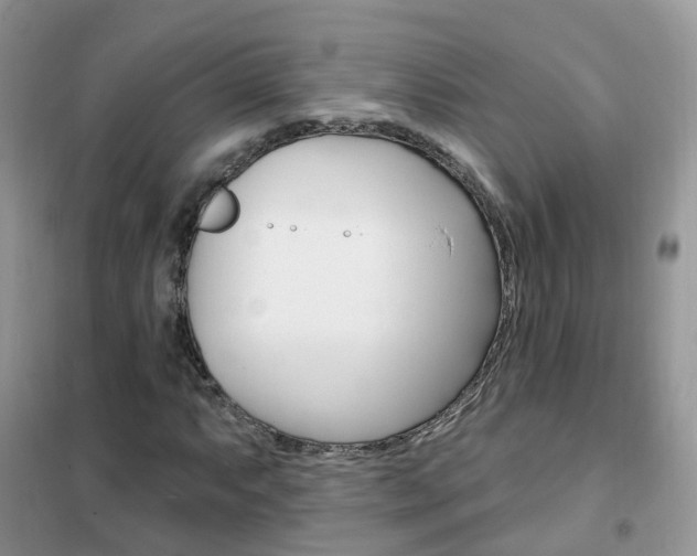 X0000102351063200808010930