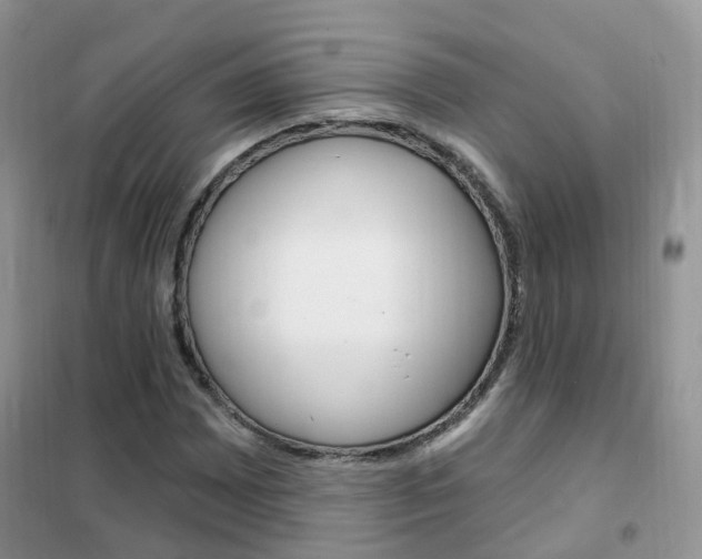 X0000102351065200808010930