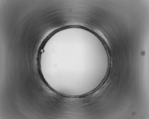 X0000102351068200808010930