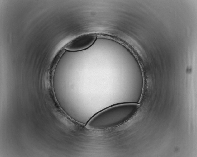 X0000102351069200808010930