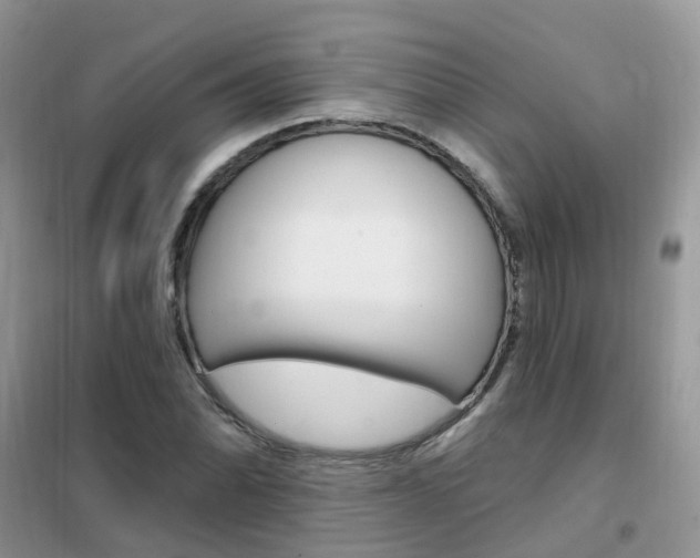 X0000102351070200808010930