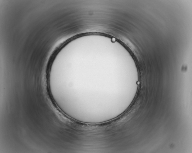 X0000102351072200808010930