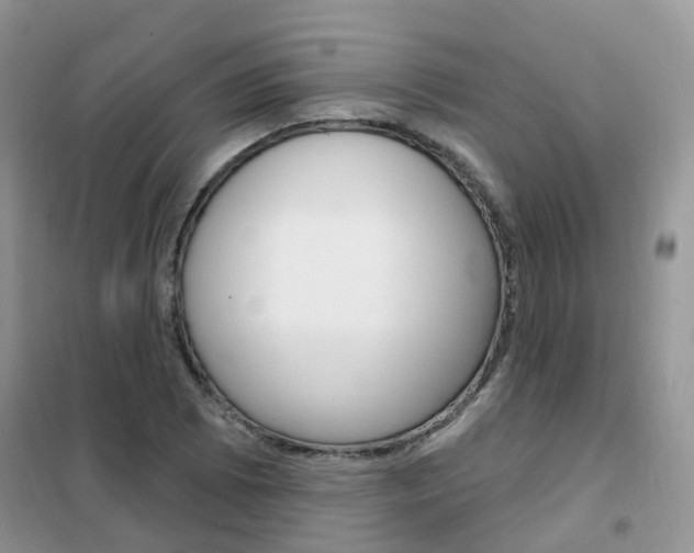 X0000102351073200808010930