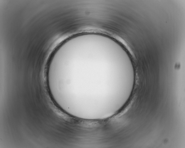X0000102351074200808010930