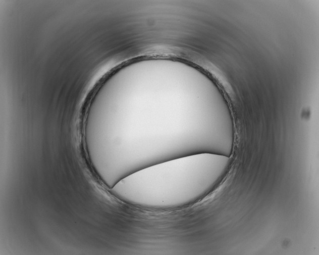 X0000102351075200808010930