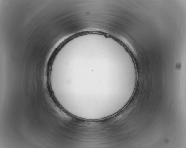 X0000102351076200808010930