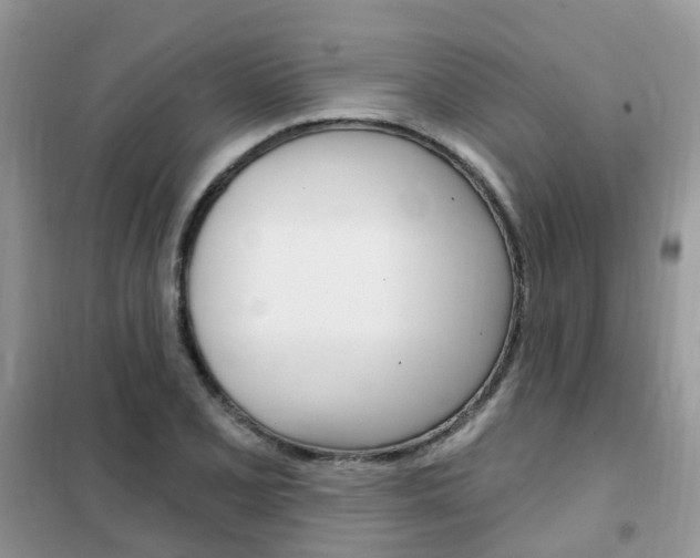 X0000102351077200808010930