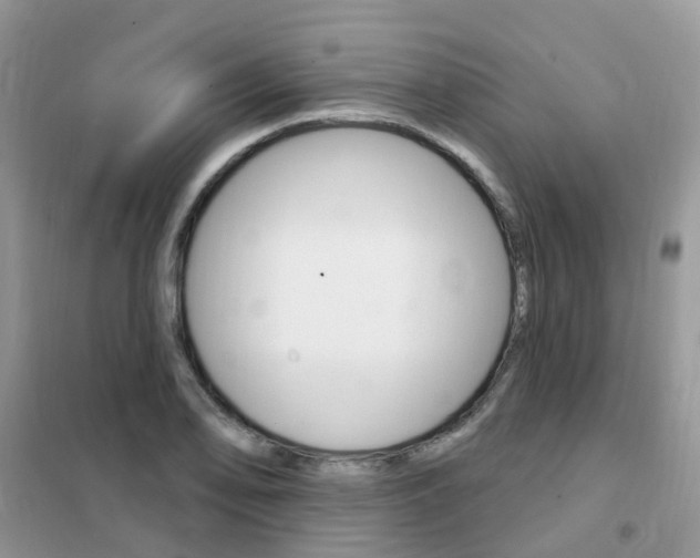 X0000102351078200808010930